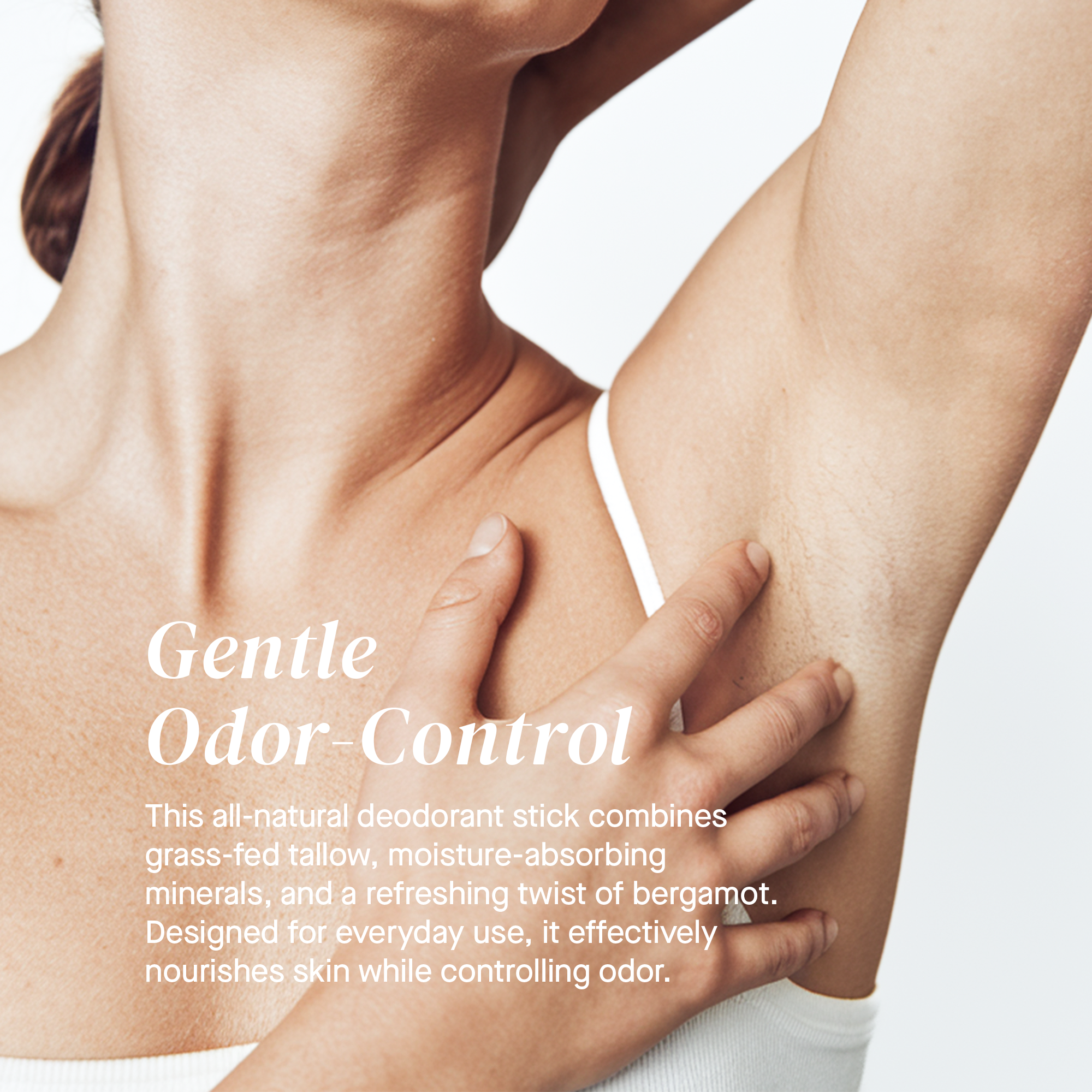 Manuka Honey Chamomile Tallow Body Balm