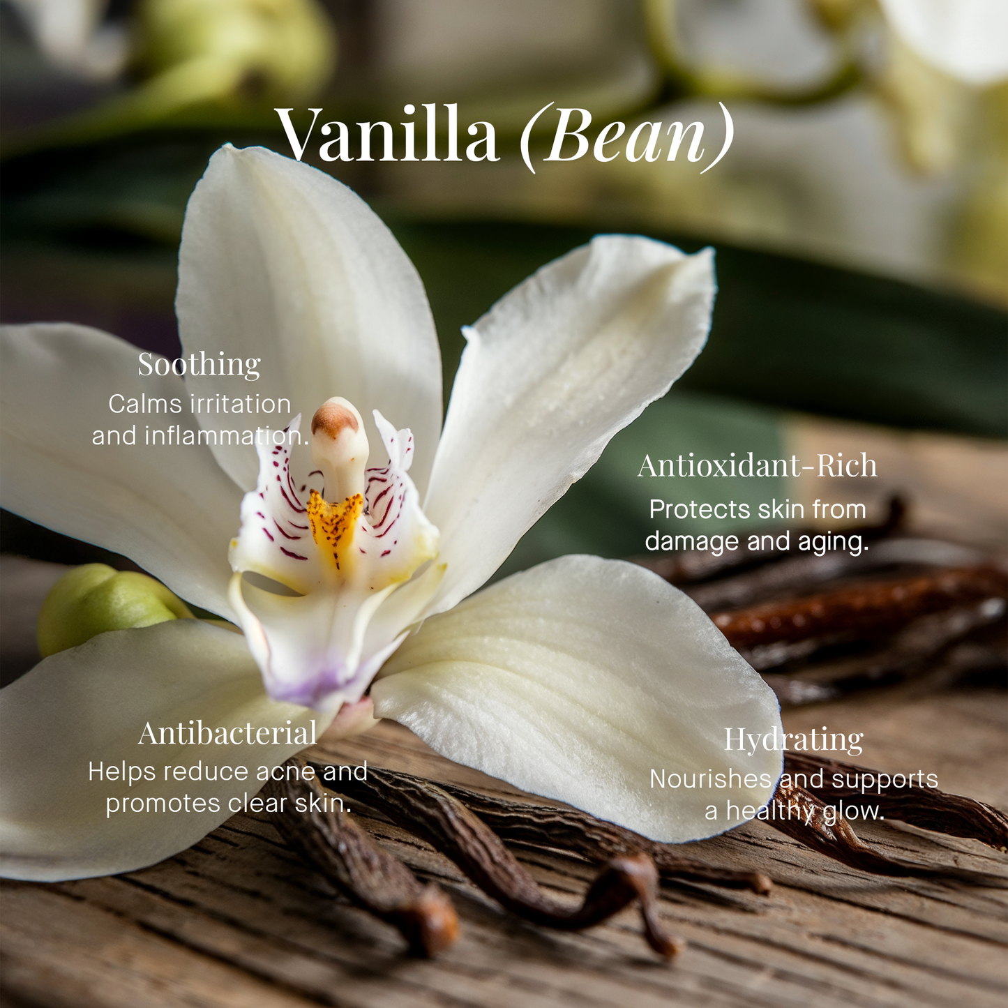 Whipped Grass-Fed Lùxe Tallow Balm